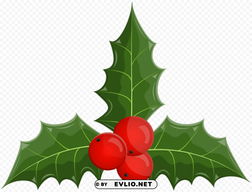 christmas holly mistletoe Transparent PNG images collection