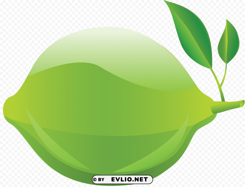 lime Isolated Element on HighQuality Transparent PNG
