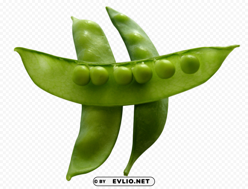 Pea PNG Image With Clear Background Isolated