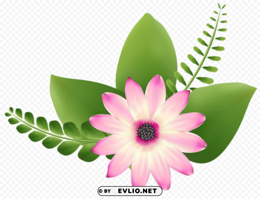 pink flower clip-art Clear PNG pictures package