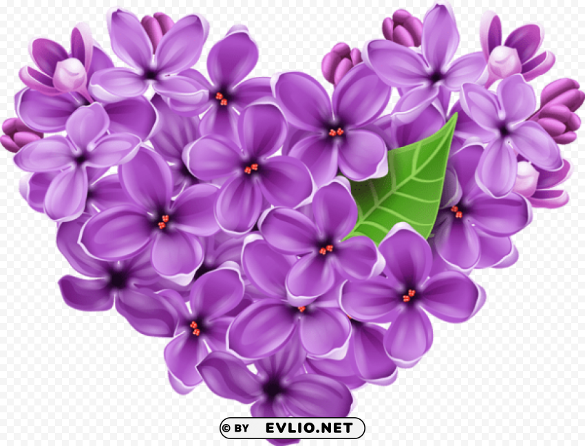 purple lilac heart PNG clipart