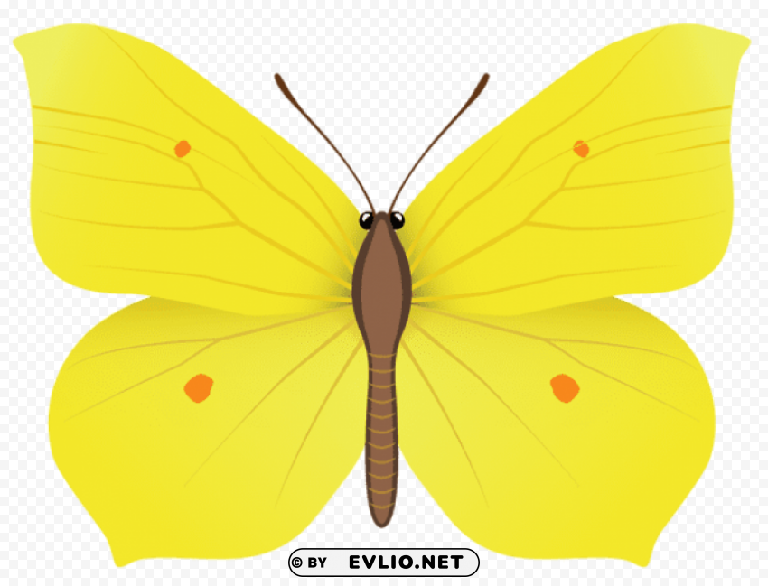 Yellow Butterfly Clear PNG Pictures Broad Bulk