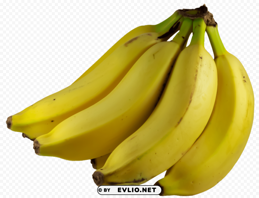 banana bunch Transparent PNG Object with Isolation PNG images with transparent backgrounds - Image ID d62851aa