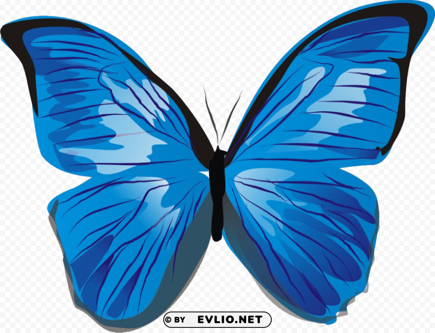 Butterfly Isolated Graphic On Transparent PNG