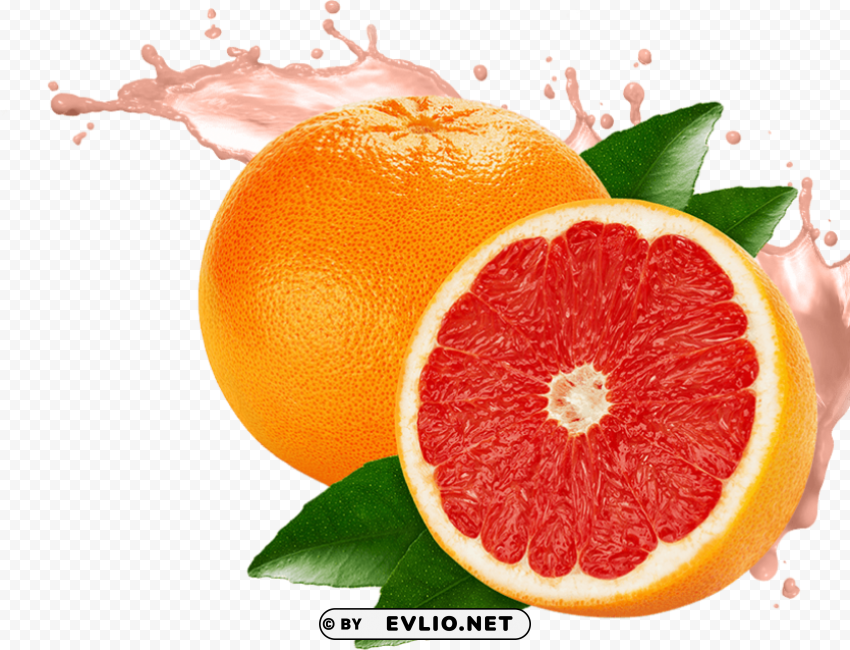 grapefruit Transparent art PNG
