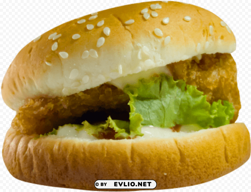 junk food images Transparent PNG pictures for editing