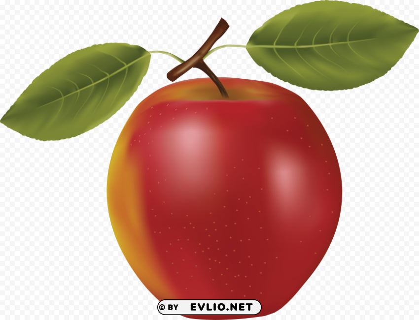 red apple Transparent background PNG clipart clipart png photo - 8827ff5f