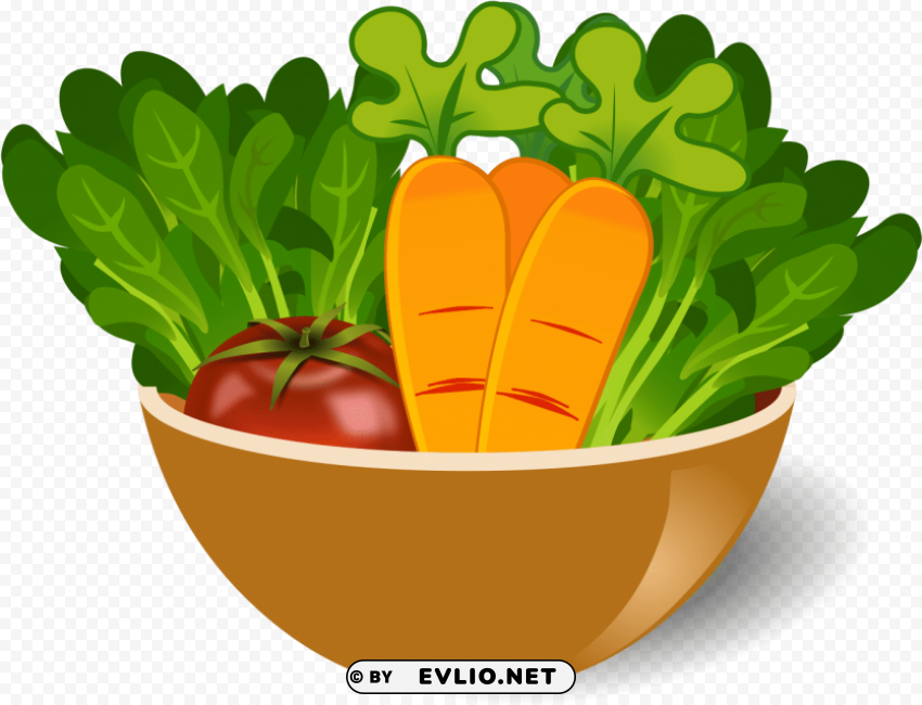 vegetable dish PNG without watermark free