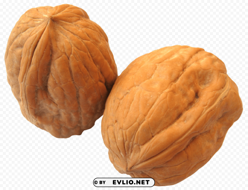 walnut HighQuality Transparent PNG Element