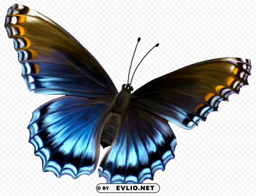 butterfly Isolated Subject in HighQuality Transparent PNG