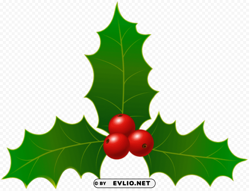 christmas holly Transparent PNG images complete package