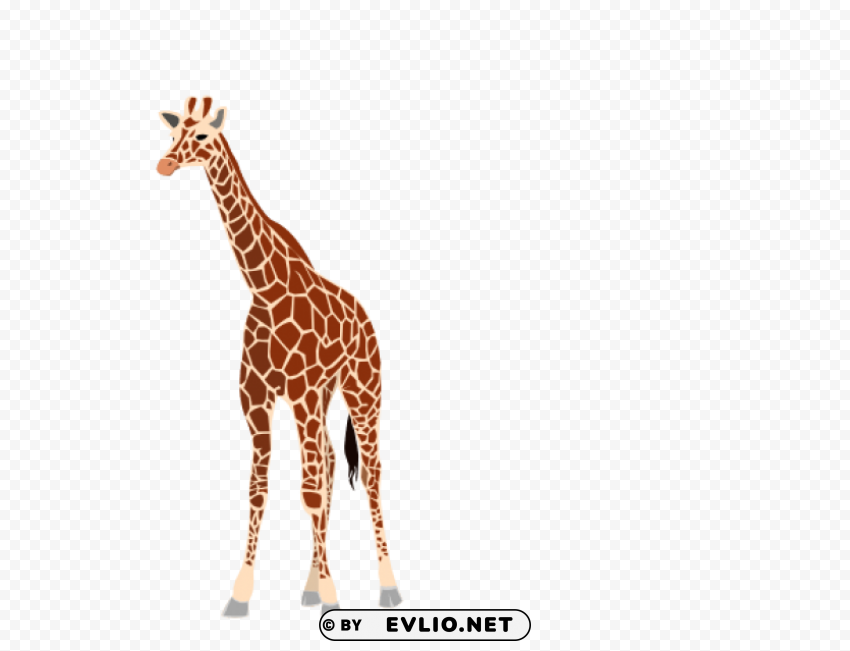 giraffe Free PNG images with transparent background png images background - Image ID 68fabcfc