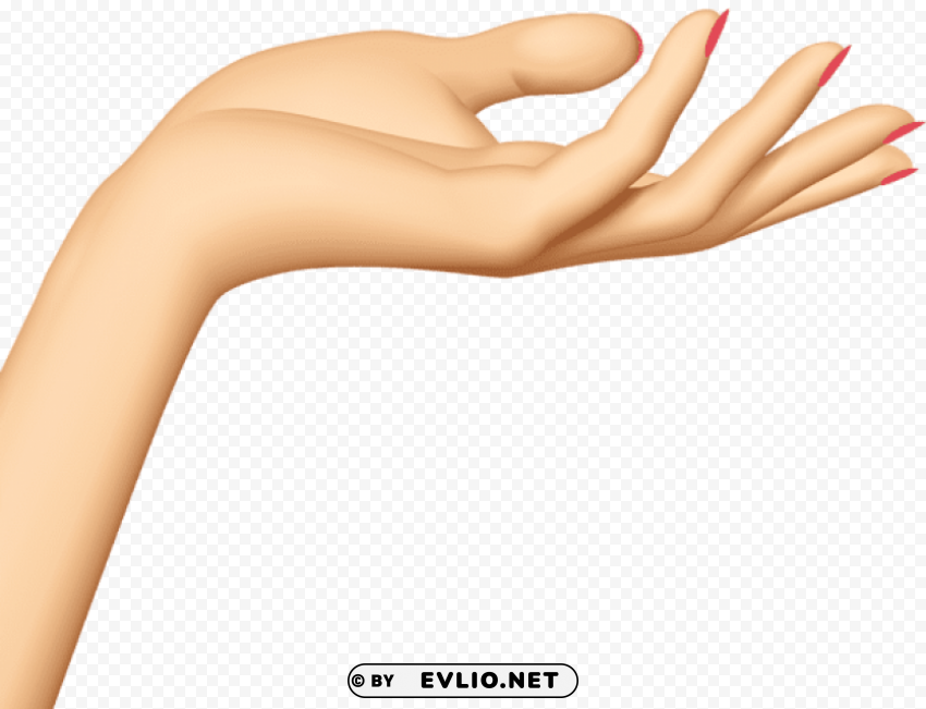hand PNG Image with Transparent Background Isolation