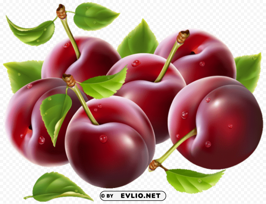 prunes PNG images with alpha channel selection