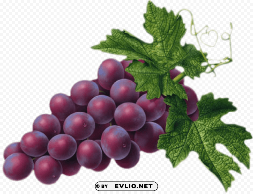 red grape PNG images with alpha mask