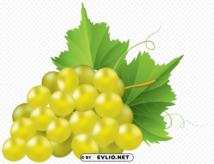 white grape Isolated Subject with Clear Transparent PNG