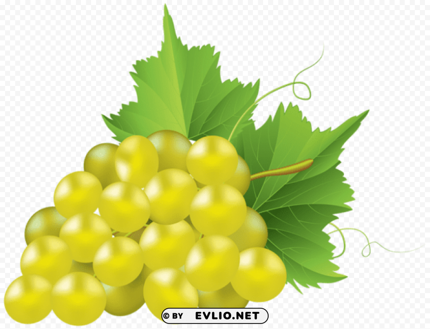 White Grape Isolated Subject With Clear Transparent PNG