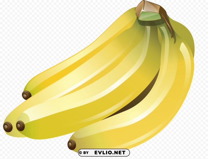 banana's PNG transparent stock images