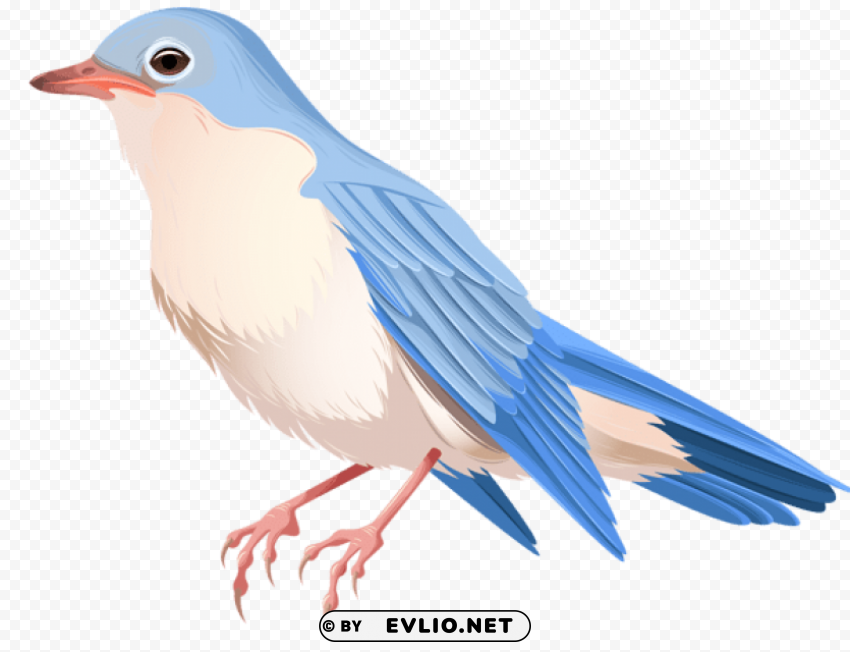 bird High-resolution PNG images with transparency wide set