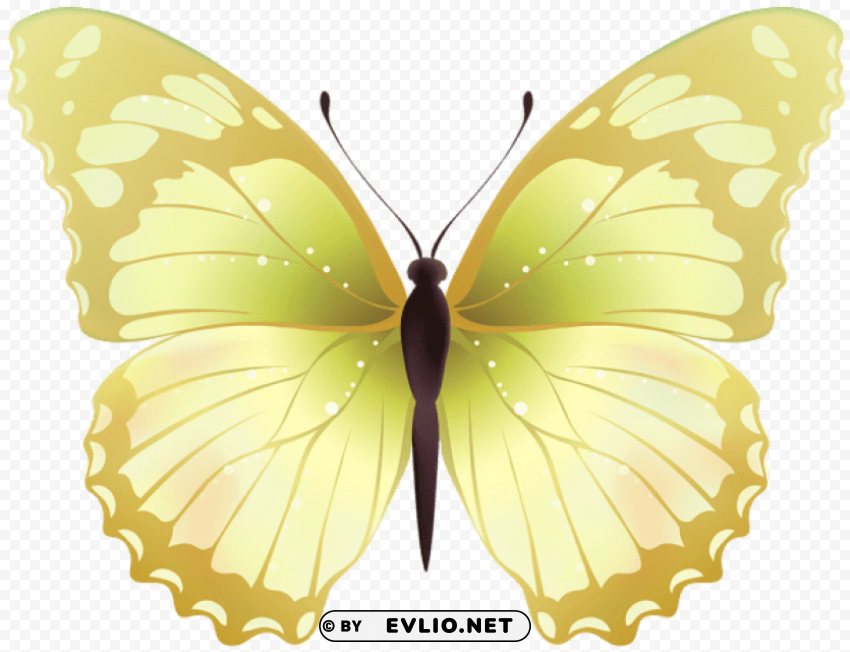butterfly Clean Background Isolated PNG Art clipart png photo - 8947cadb