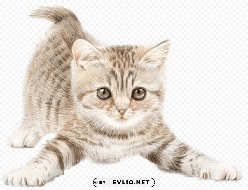 cat painting PNG Isolated Object on Clear Background