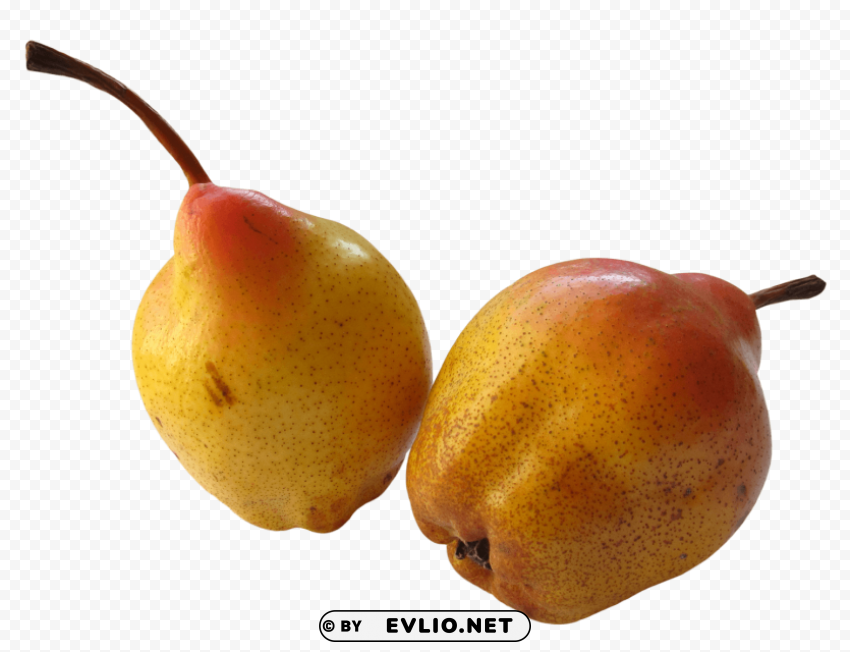 Fresh Ripe Pear Isolated Design Element In Transparent PNG