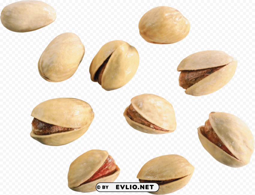 pistachios PNG Graphic Isolated with Clear Background