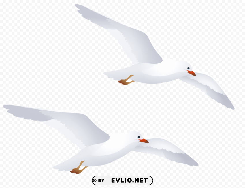 seagulls Isolated Graphic on Transparent PNG