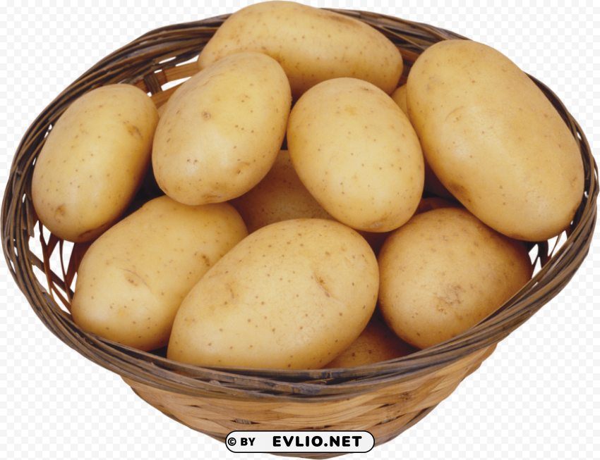 potato High-quality transparent PNG images comprehensive set
