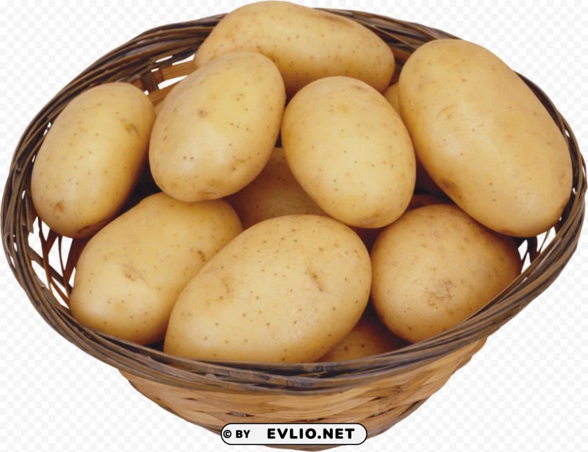 Potato High-quality Transparent PNG Images Comprehensive Set