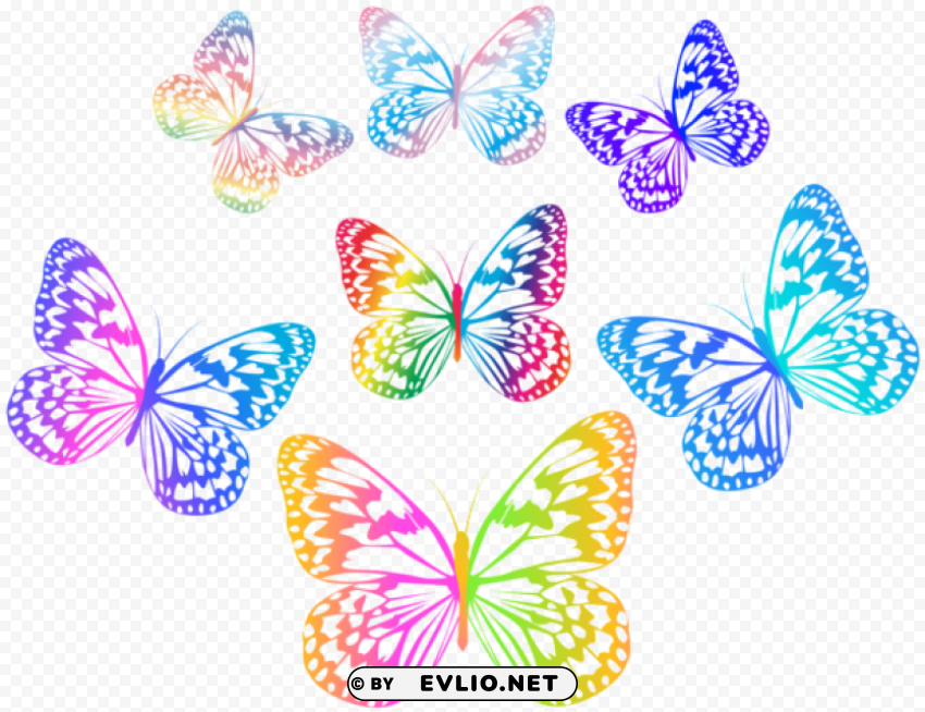 decorative multlored butterflies PNG images without BG