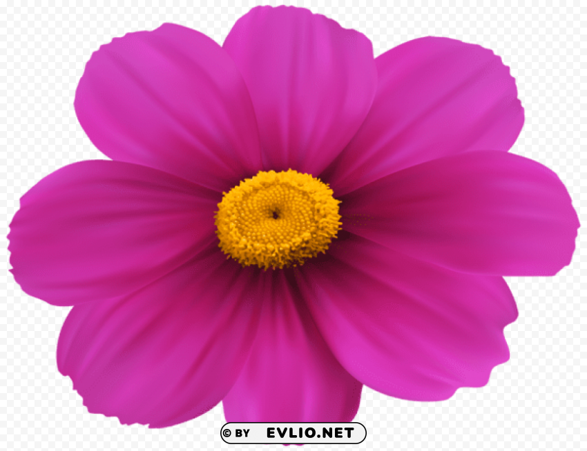 magenta flower Transparent PNG picture