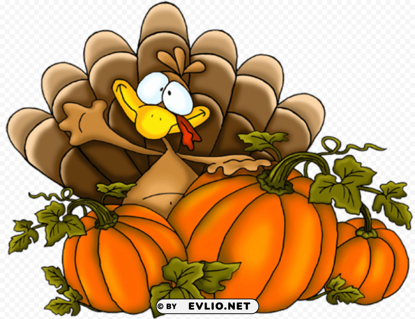 thanksgiving turkey PNG images with alpha channel diverse selection