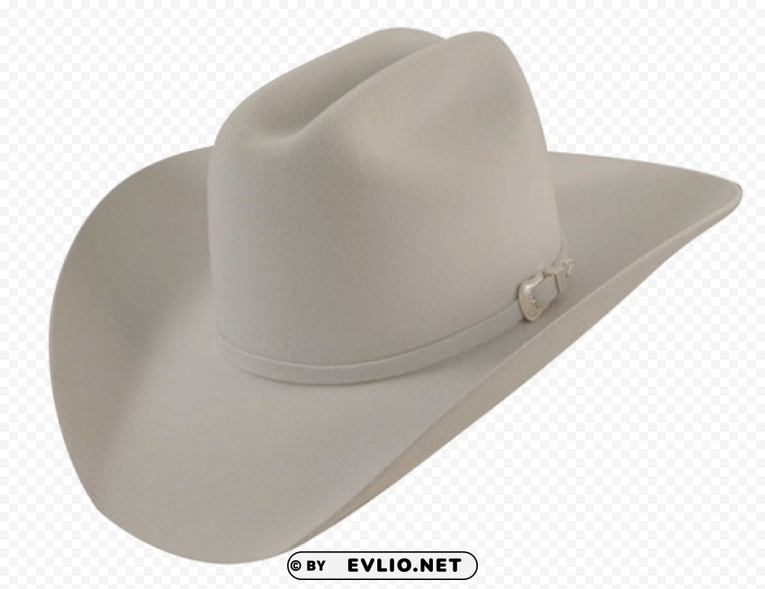cowboy hat Transparent Background Isolated PNG Character