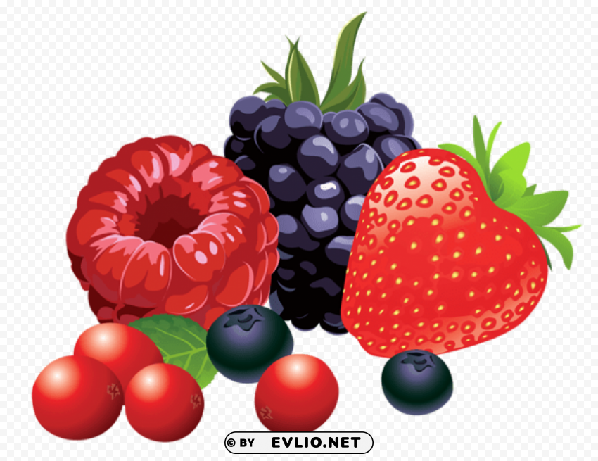 Forest Fruits Vector PNG Images With Alpha Mask