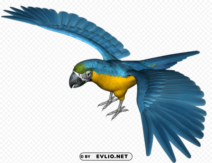 large blue parrot ClearCut Background PNG Isolated Element