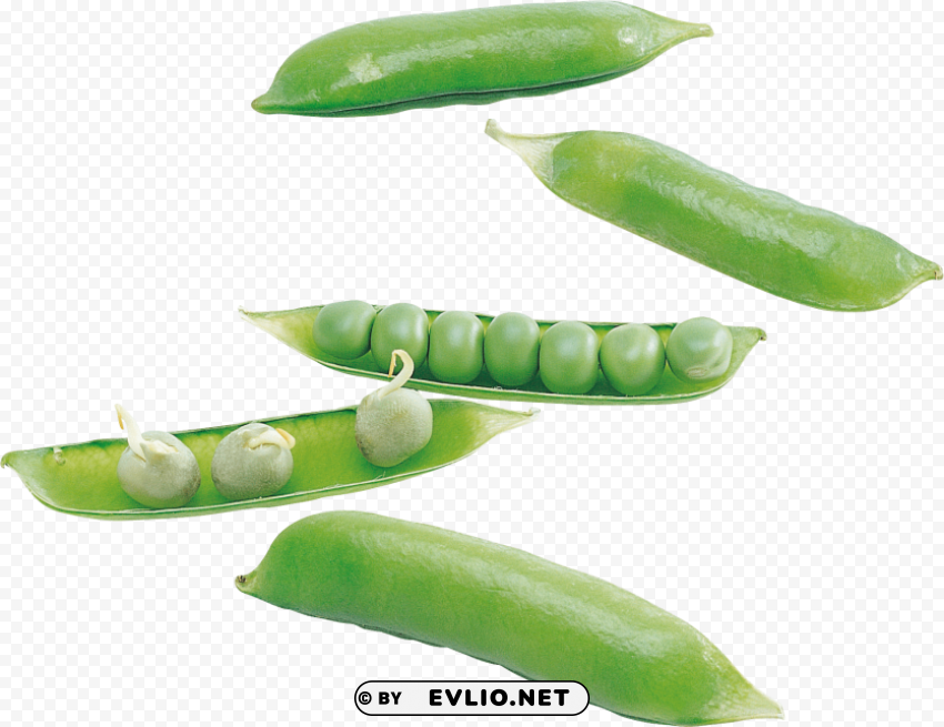 pea High-quality transparent PNG images