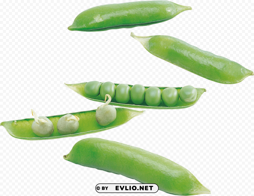 Pea High-quality Transparent PNG Images