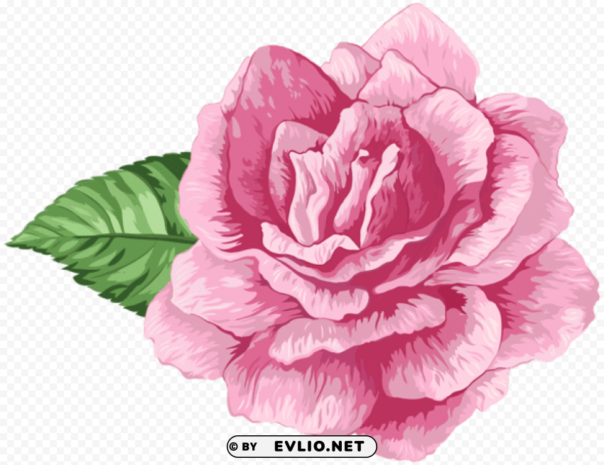 pink art rose HighQuality PNG Isolated Illustration