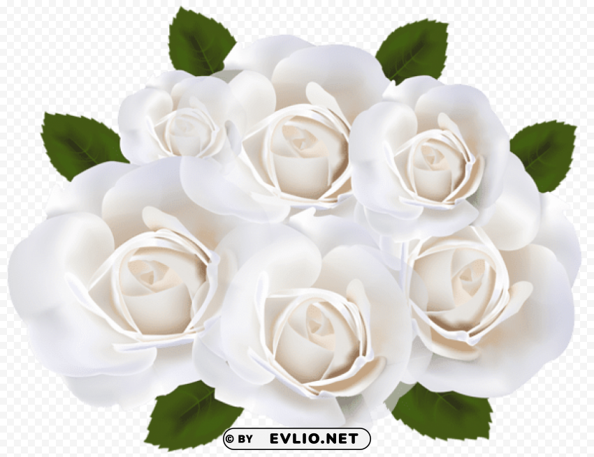 white roses Isolated Item on HighQuality PNG