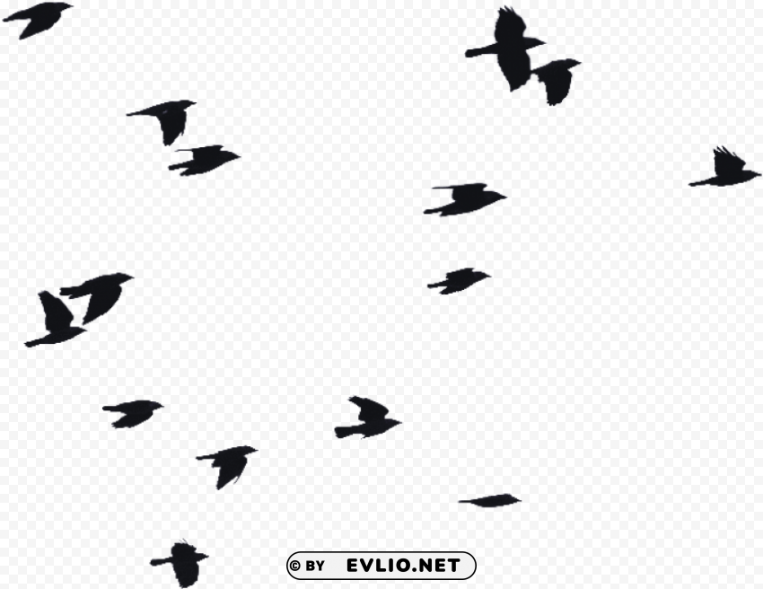 birds flying silhouette PNG images with transparent elements pack