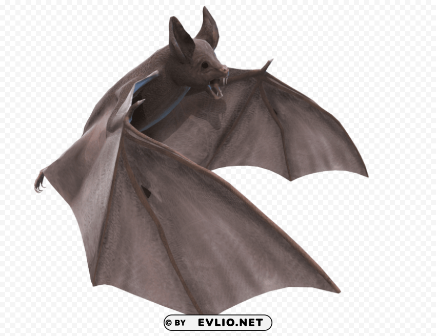 grey bat 3d illustration Isolated Artwork in Transparent PNG Format