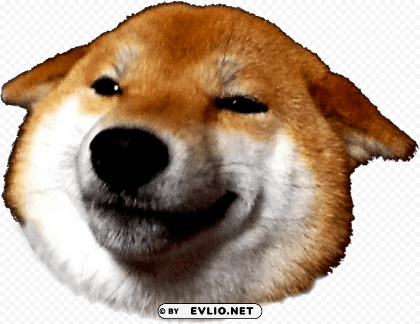 shiba inu face Free PNG images with transparent layers compilation