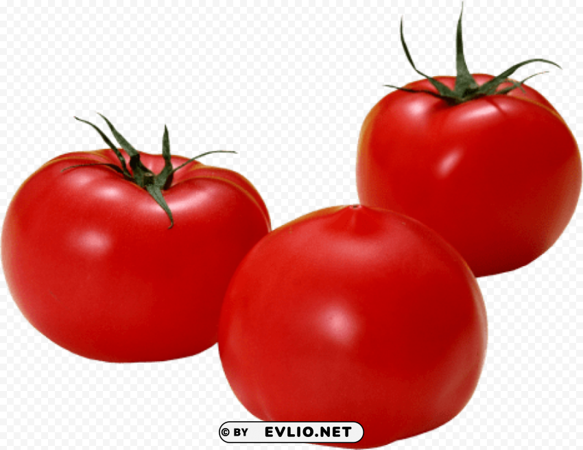 Tomato Clear Background PNG Isolated Element Detail