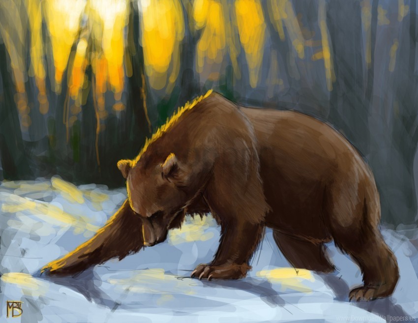 bear colorful painting photoshop snow wallpaper PNG images with transparent canvas compilation