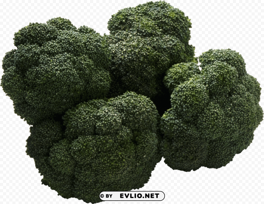 broccoli PNG pictures with no background required