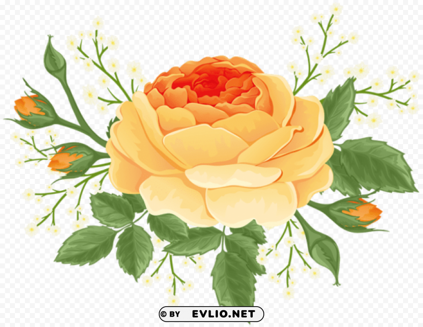 orange rose with white flowers PNG Image with Transparent Cutout