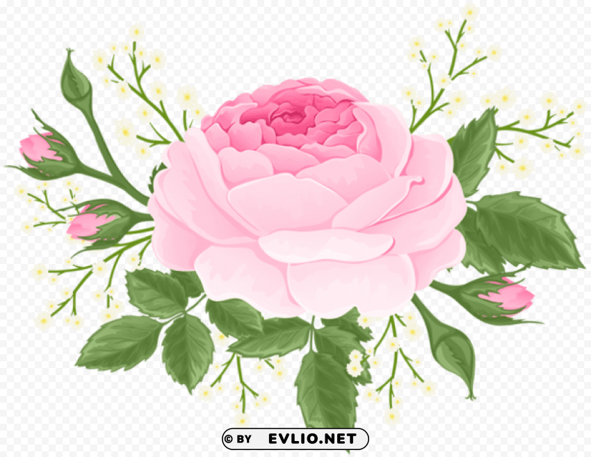 Pink Rose With White Flowers PNG Image Isolated With Transparency