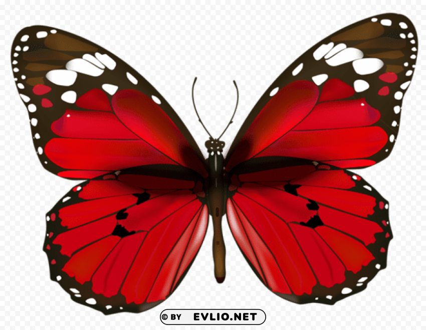 red butterfly PNG images with no watermark clipart png photo - 3745ba59