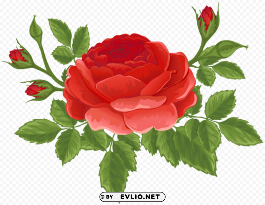 red rose with buds PNG icons with transparency